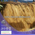 ISO Natural High Quality Gentian Root Extract 5%-10% Gentiopicroside 10:1